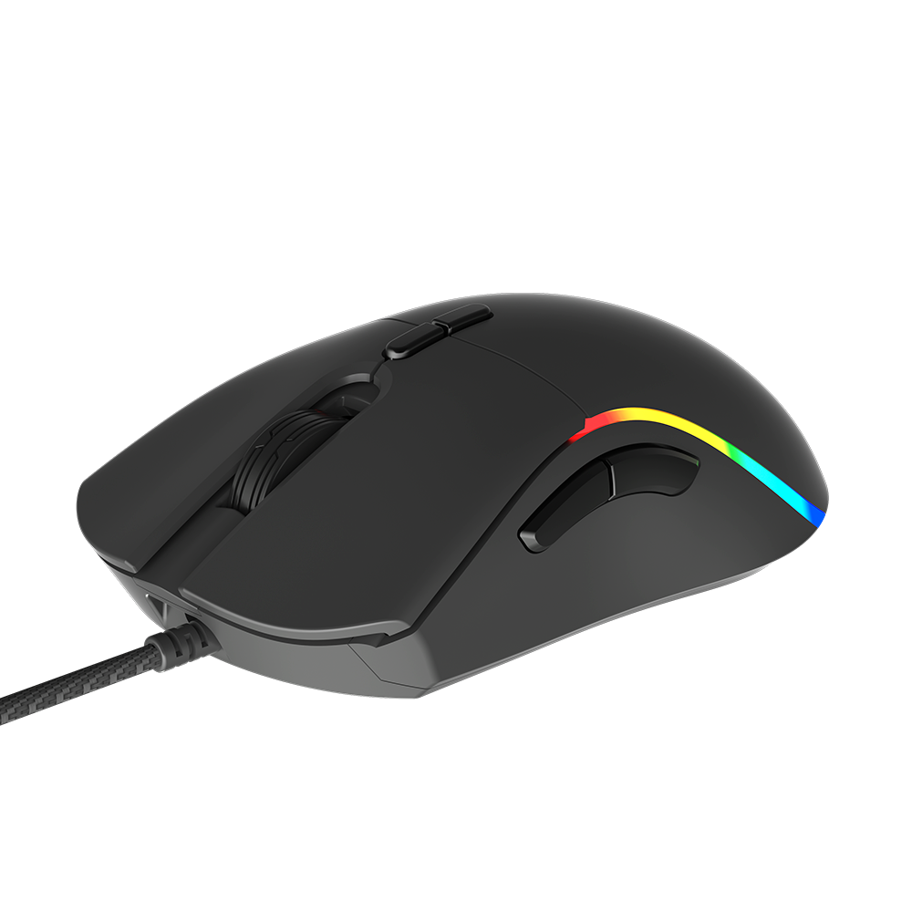 Mouse Meetion GM19_2023