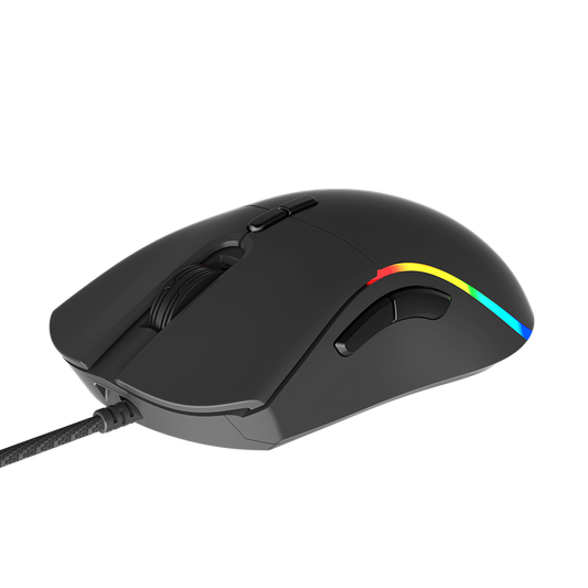Mouse Meetion GM19_2023
